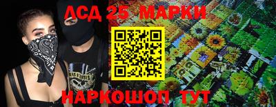 индика Малгобек