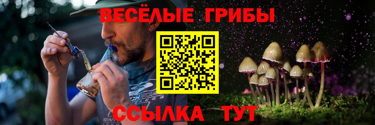 Галлюциногенные грибы мицелий  Галлюциногенные грибы GOLDEN TEACHER  Березники  Вход с VPN 